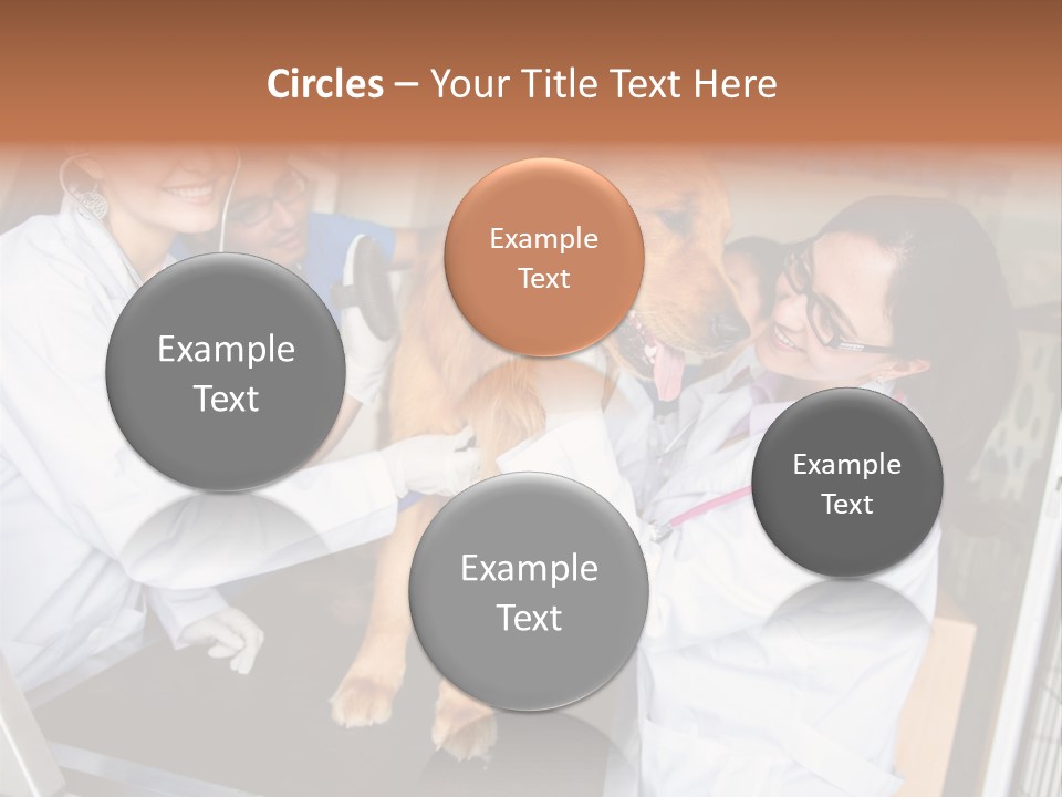 Checkup Doctors Animal PowerPoint Template