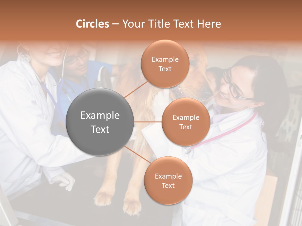 Checkup Doctors Animal PowerPoint Template