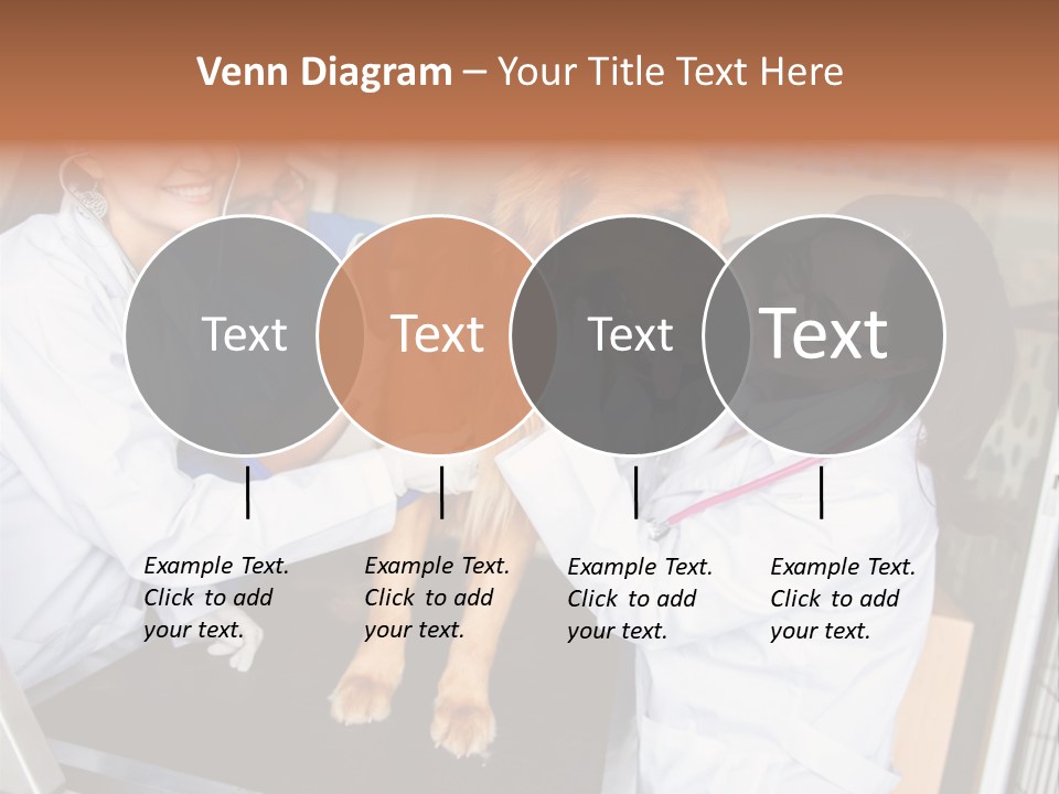 Checkup Doctors Animal PowerPoint Template