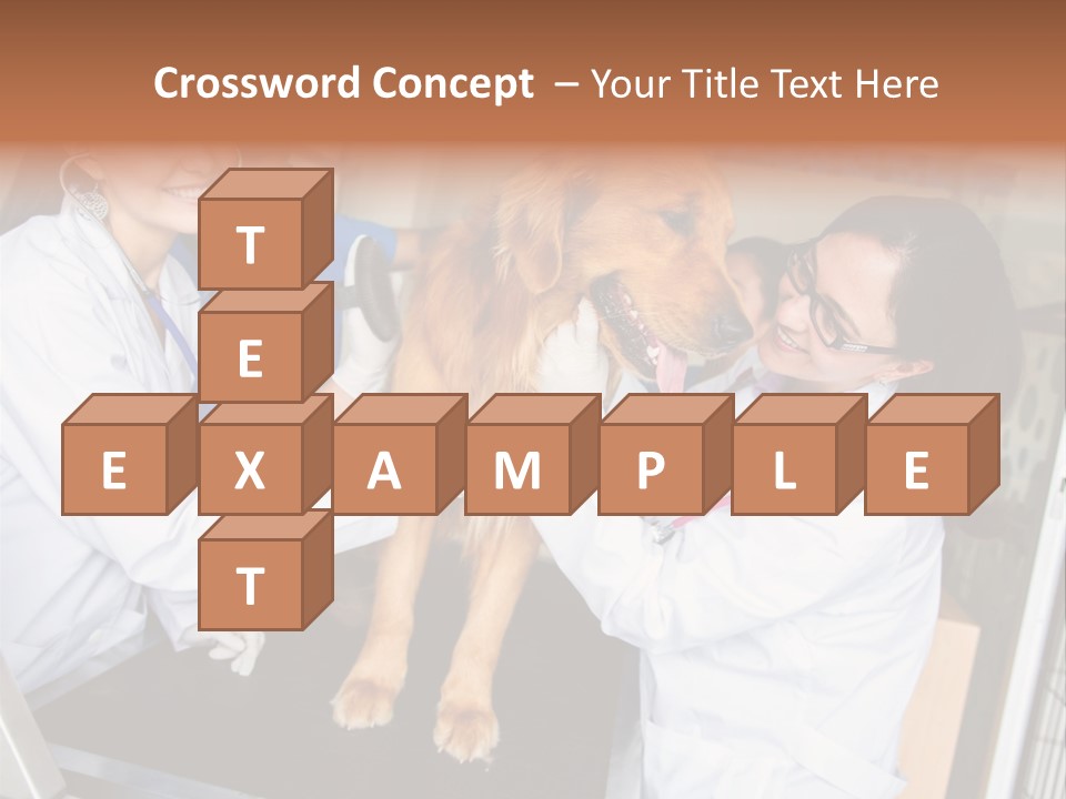 Checkup Doctors Animal PowerPoint Template