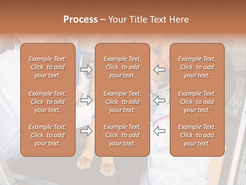 Checkup Doctors Animal PowerPoint Template