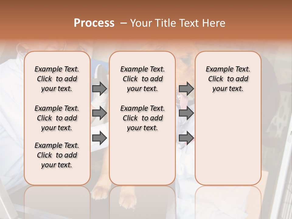 Checkup Doctors Animal PowerPoint Template