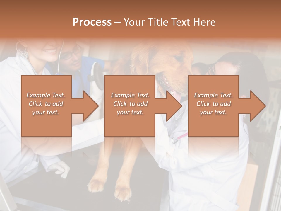 Checkup Doctors Animal PowerPoint Template