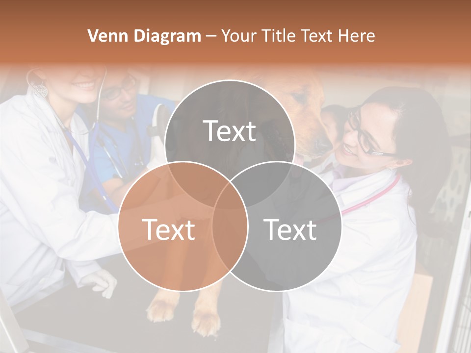 Checkup Doctors Animal PowerPoint Template