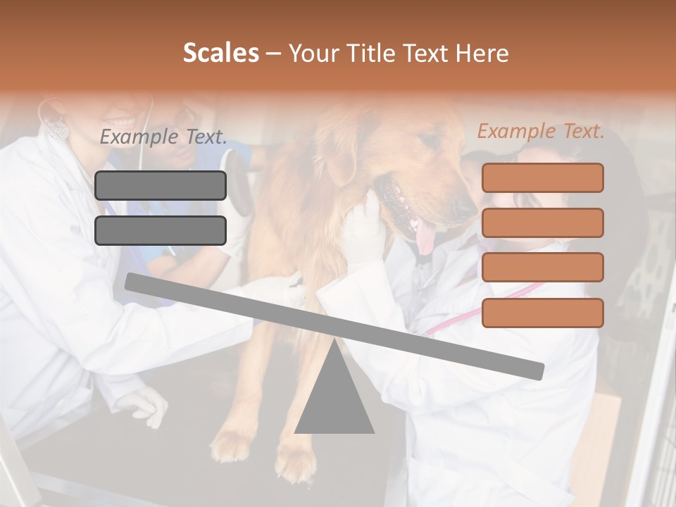 Checkup Doctors Animal PowerPoint Template