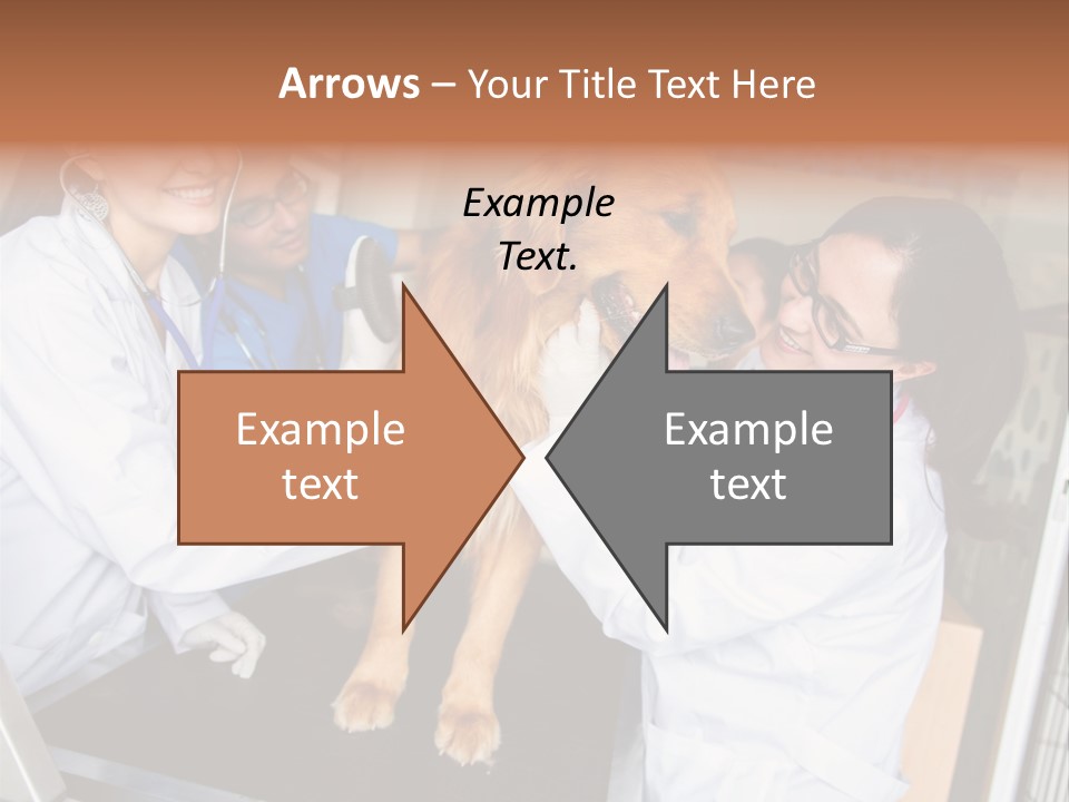 Checkup Doctors Animal PowerPoint Template