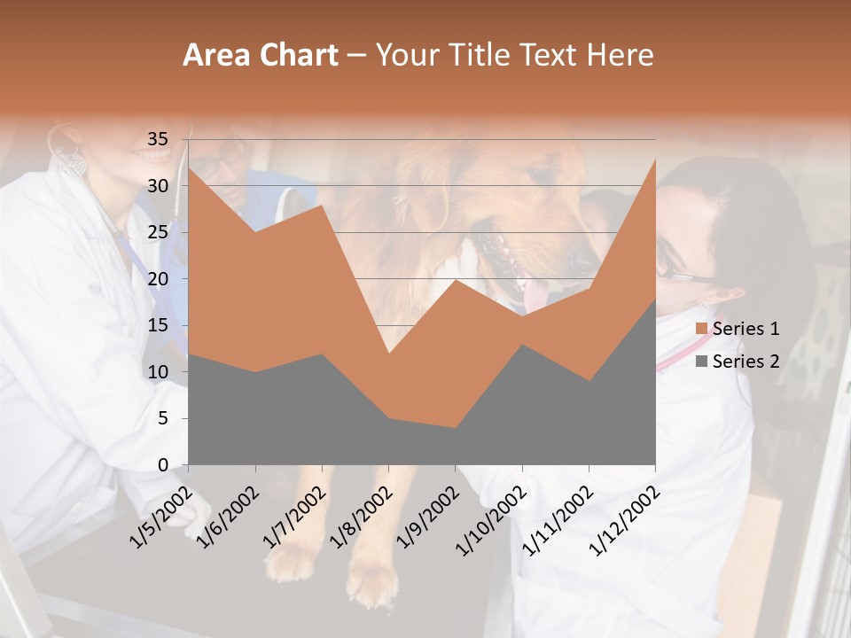 Checkup Doctors Animal PowerPoint Template
