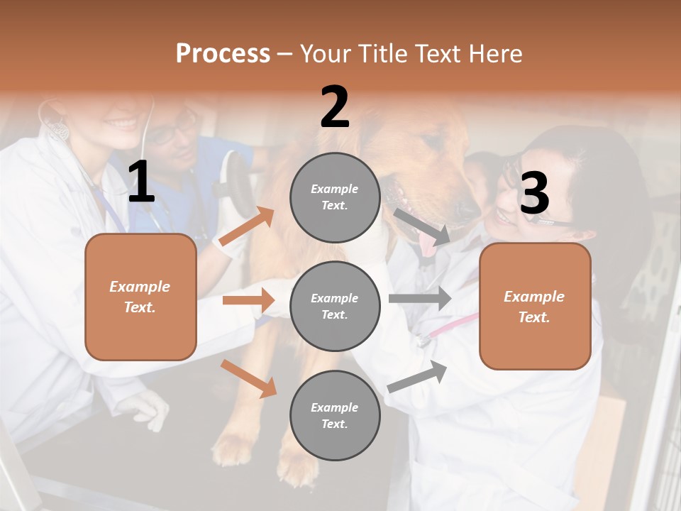 Checkup Doctors Animal PowerPoint Template