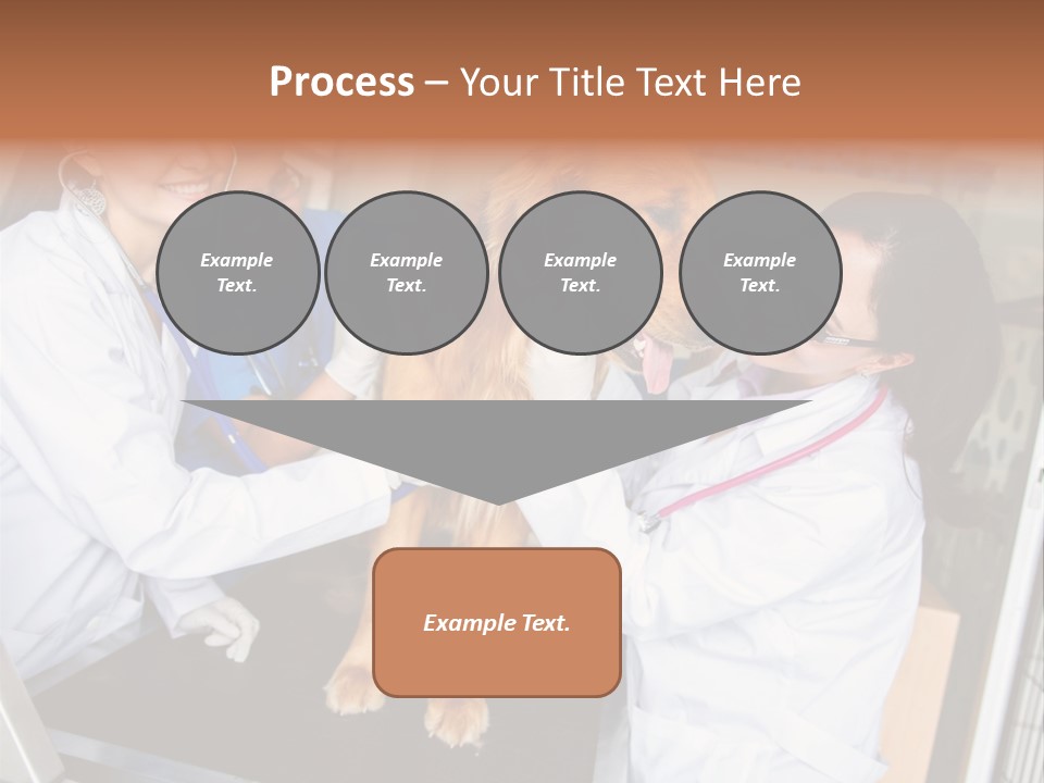 Checkup Doctors Animal PowerPoint Template