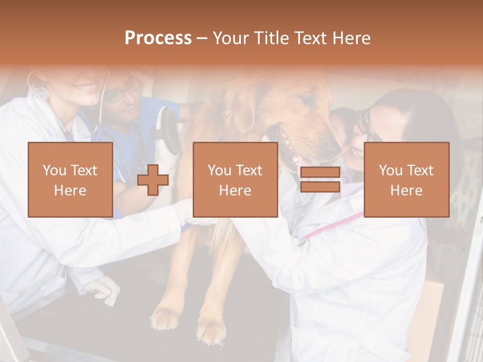 Checkup Doctors Animal PowerPoint Template