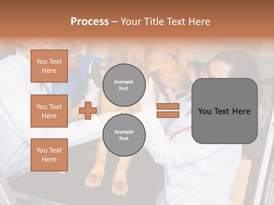 Checkup Doctors Animal PowerPoint Template
