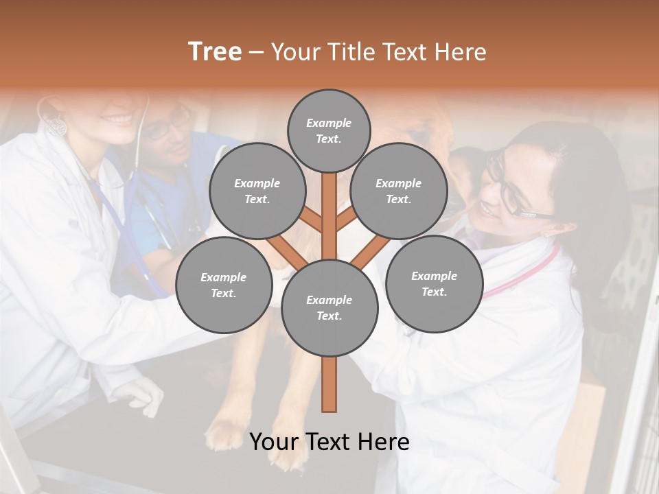 Checkup Doctors Animal PowerPoint Template