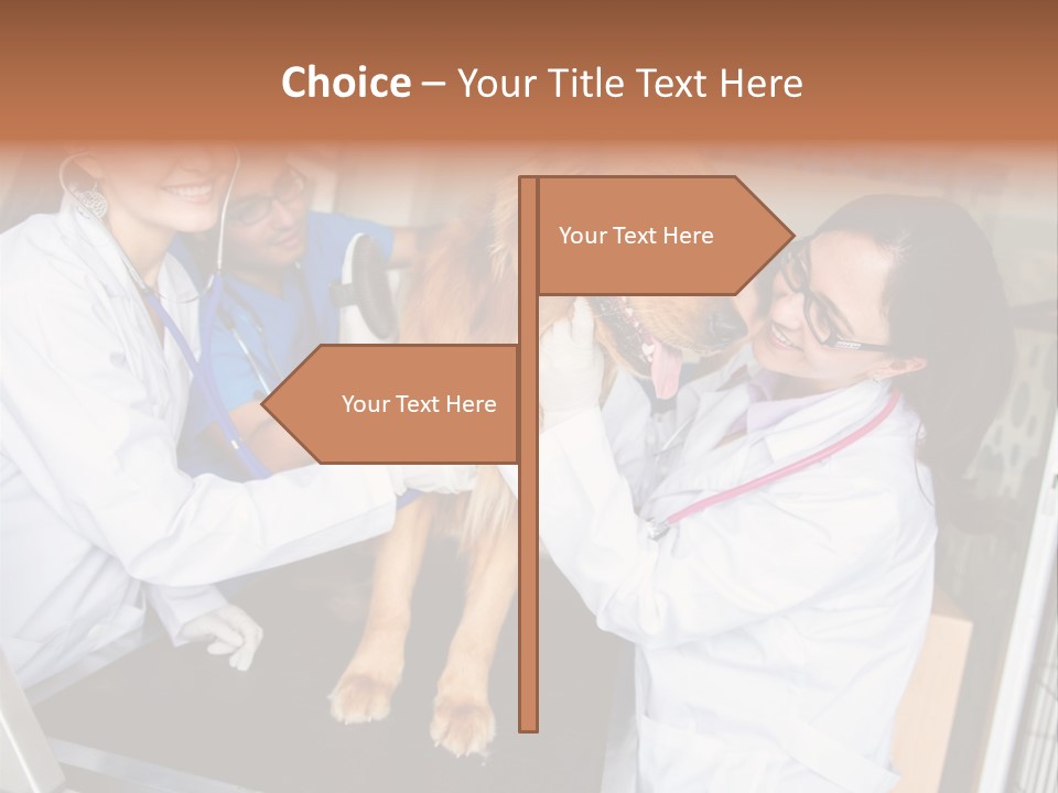 Checkup Doctors Animal PowerPoint Template