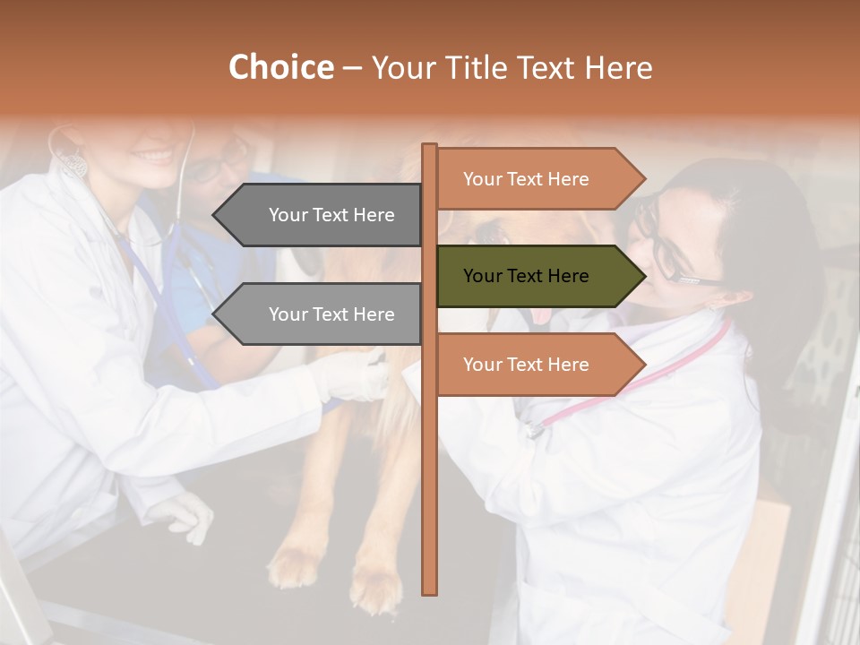 Checkup Doctors Animal PowerPoint Template