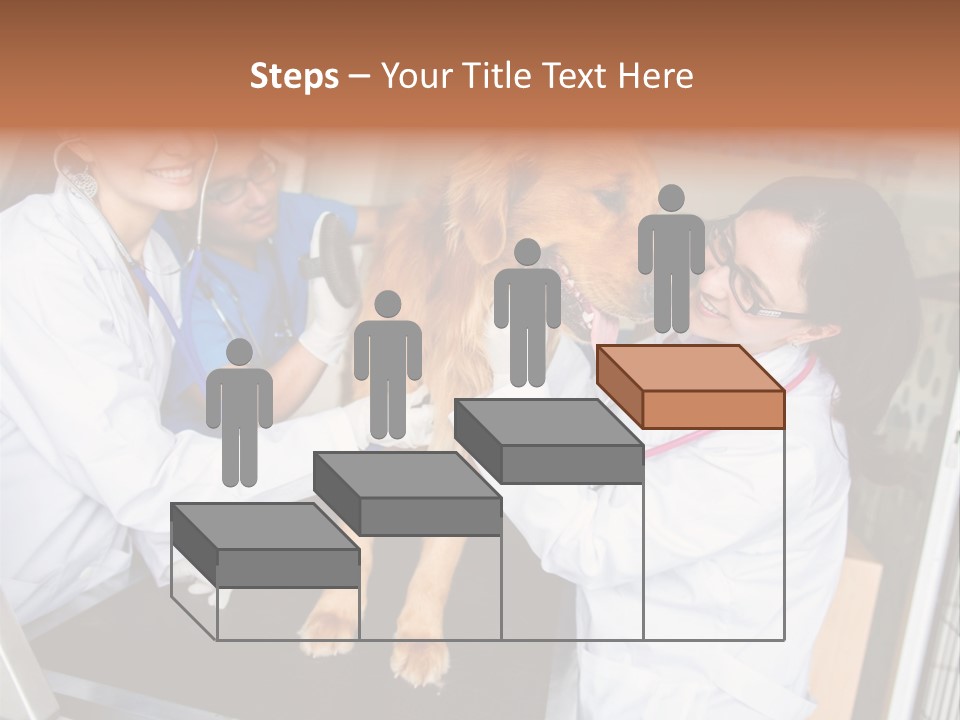 Checkup Doctors Animal PowerPoint Template