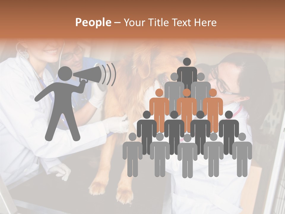 Checkup Doctors Animal PowerPoint Template