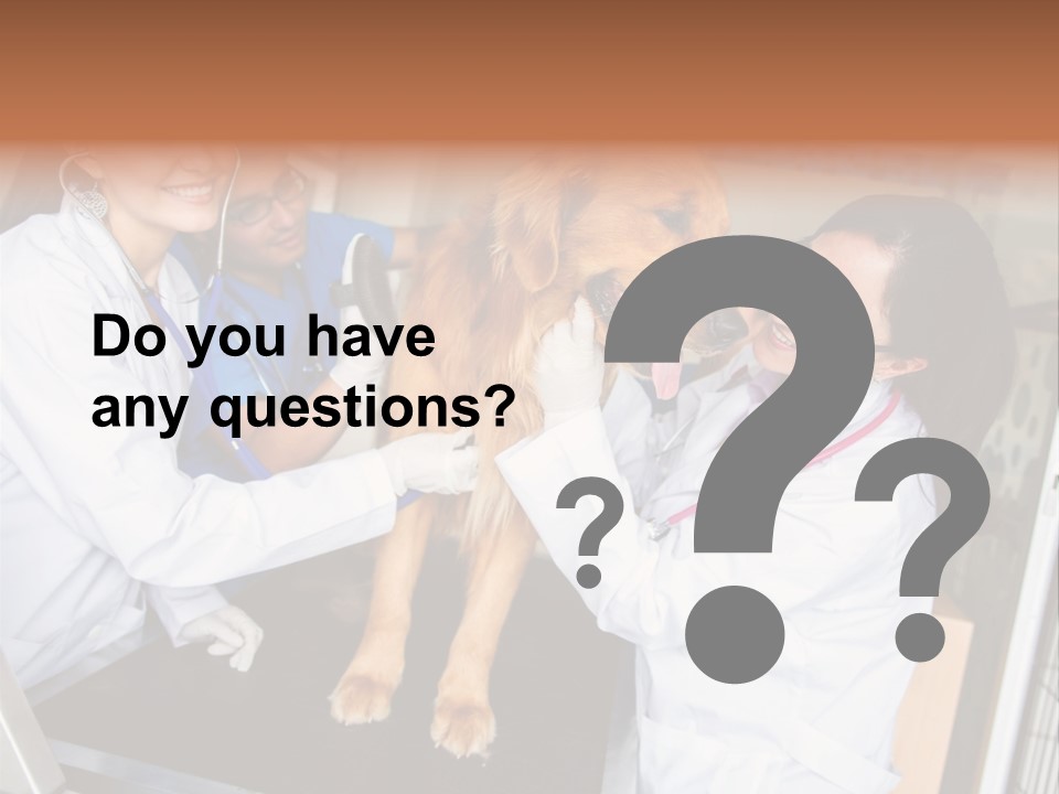 Checkup Doctors Animal PowerPoint Template