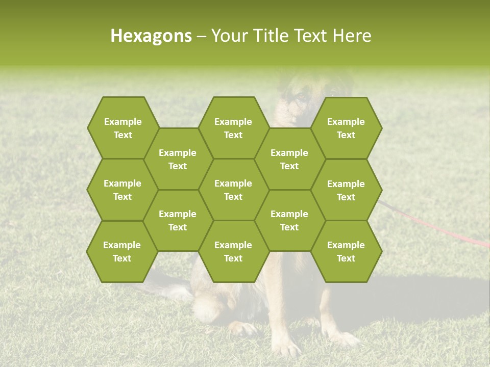 Vibrant Portrait Green PowerPoint Template