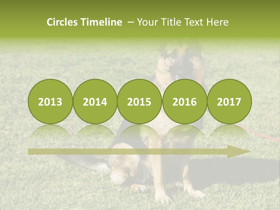 Vibrant Portrait Green PowerPoint Template