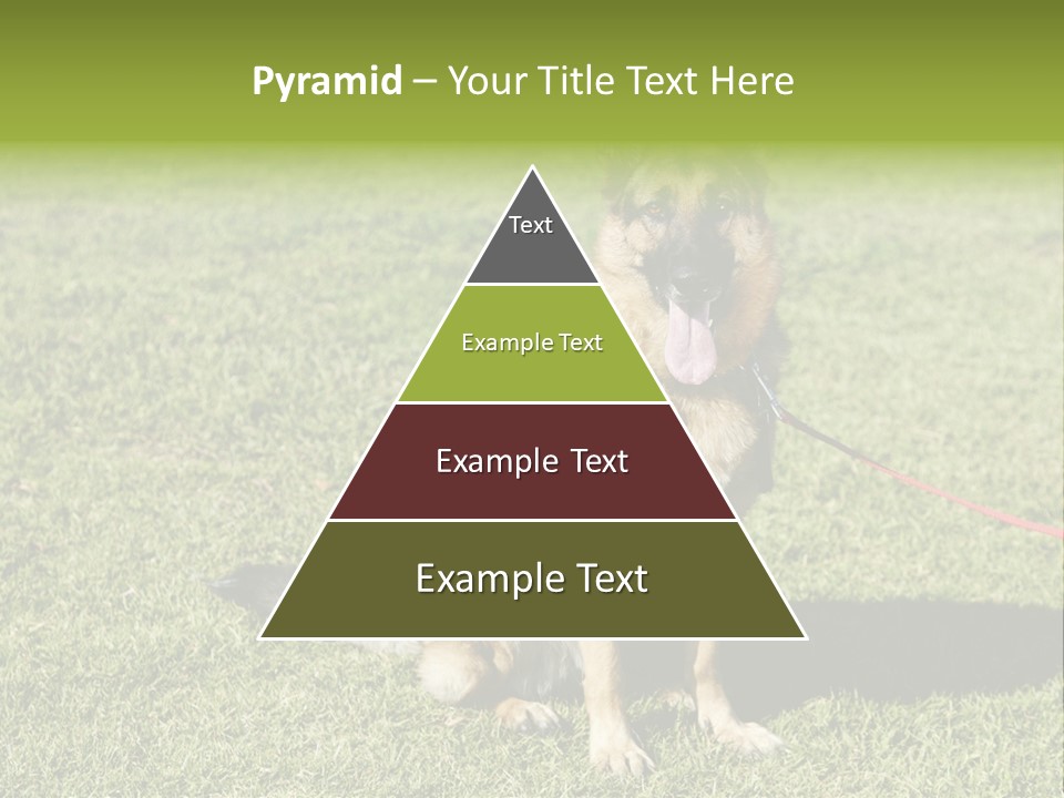 Vibrant Portrait Green PowerPoint Template