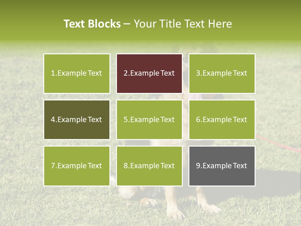 Vibrant Portrait Green PowerPoint Template