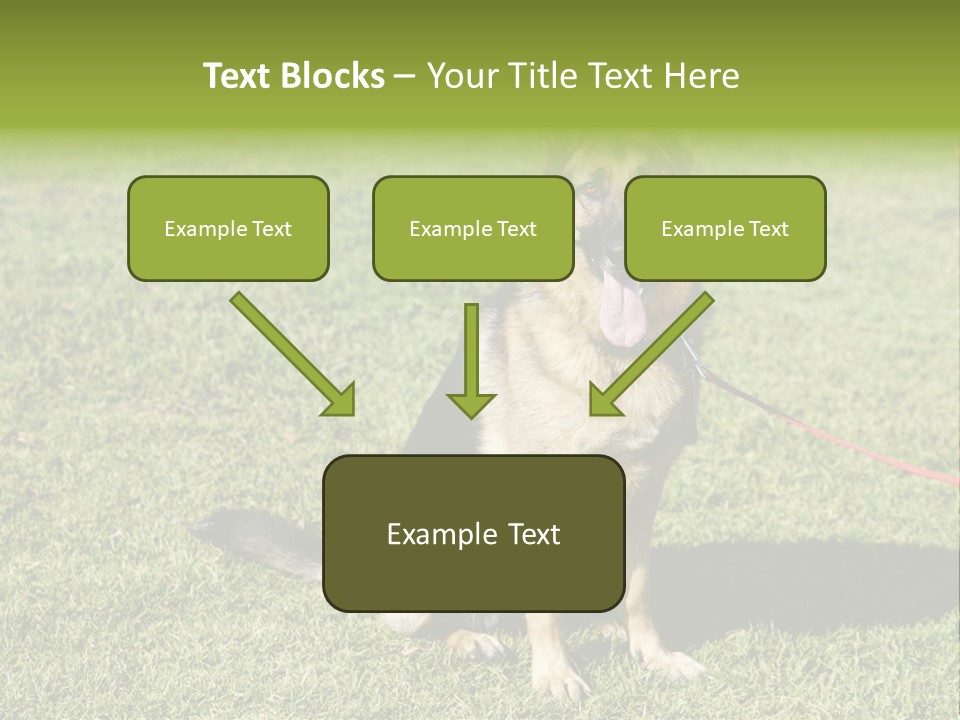 Vibrant Portrait Green PowerPoint Template