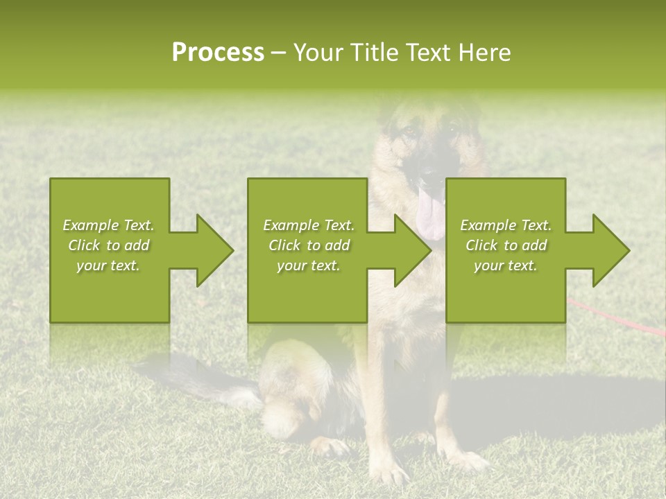 Vibrant Portrait Green PowerPoint Template