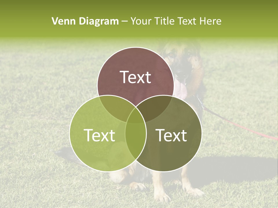 Vibrant Portrait Green PowerPoint Template