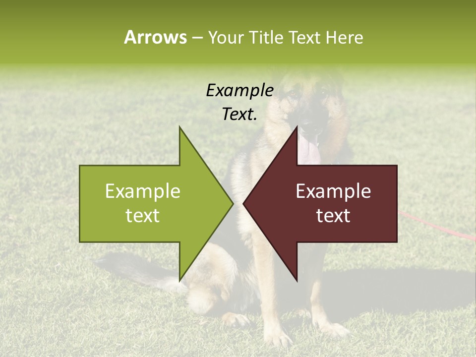 Vibrant Portrait Green PowerPoint Template