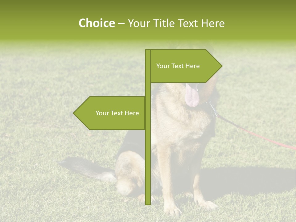 Vibrant Portrait Green PowerPoint Template