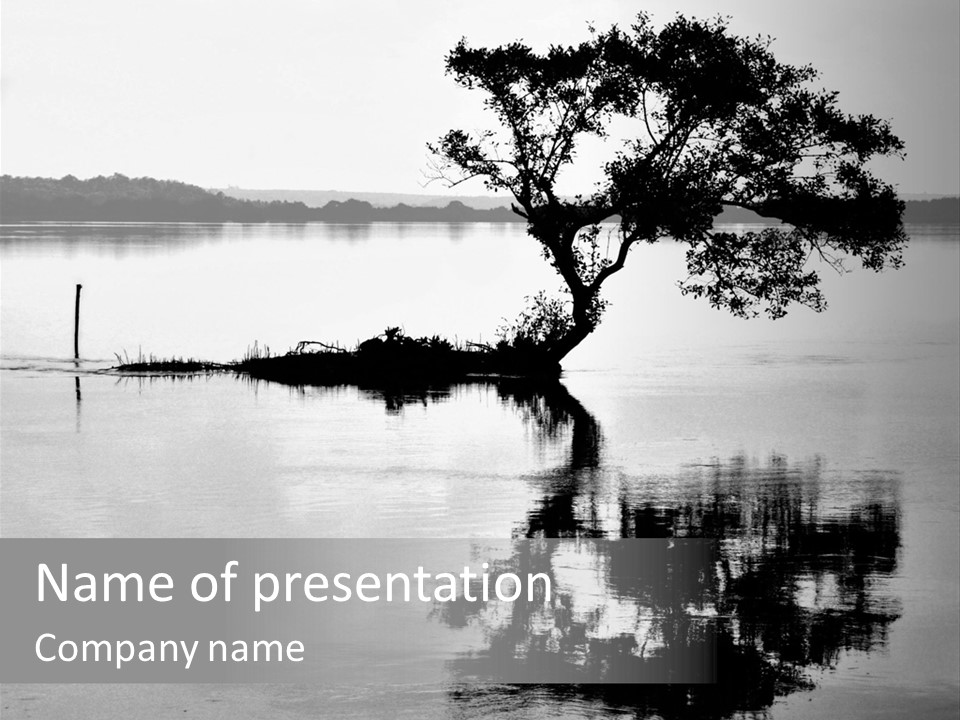 Goa Tree In River Tree In Lake PowerPoint Template