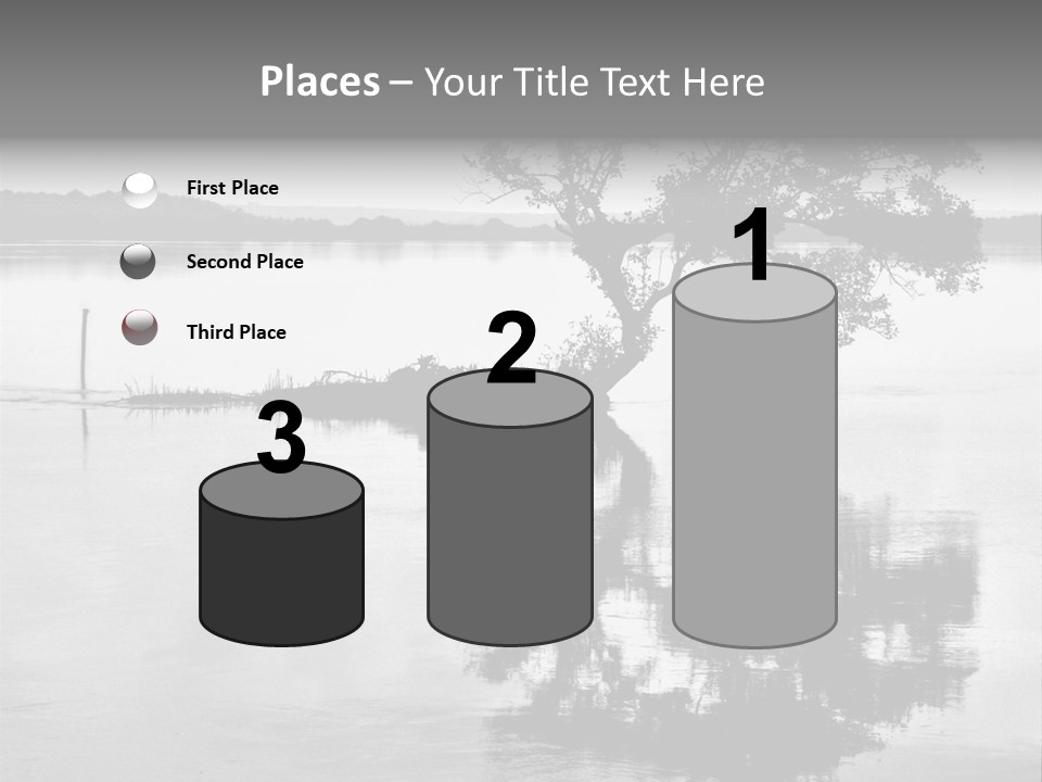 Goa Tree In River Tree In Lake PowerPoint Template