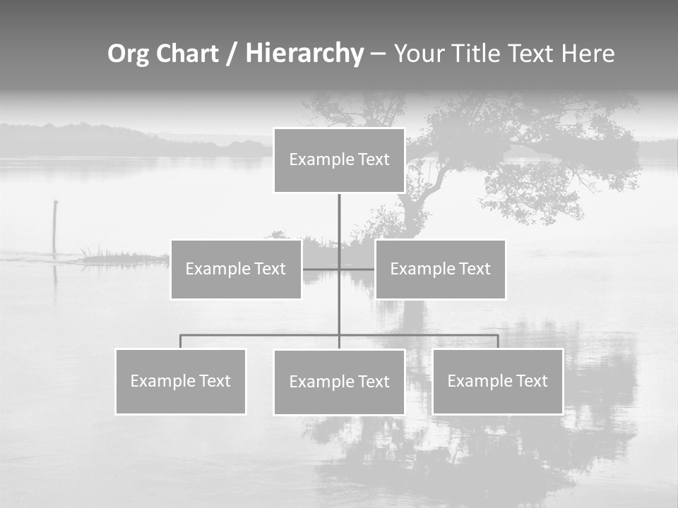 Goa Tree In River Tree In Lake PowerPoint Template