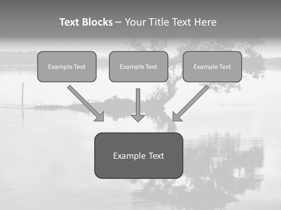 Goa Tree In River Tree In Lake PowerPoint Template