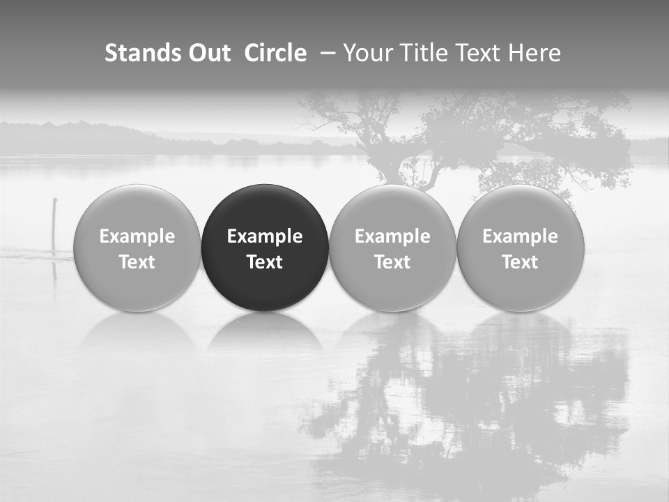 Goa Tree In River Tree In Lake PowerPoint Template