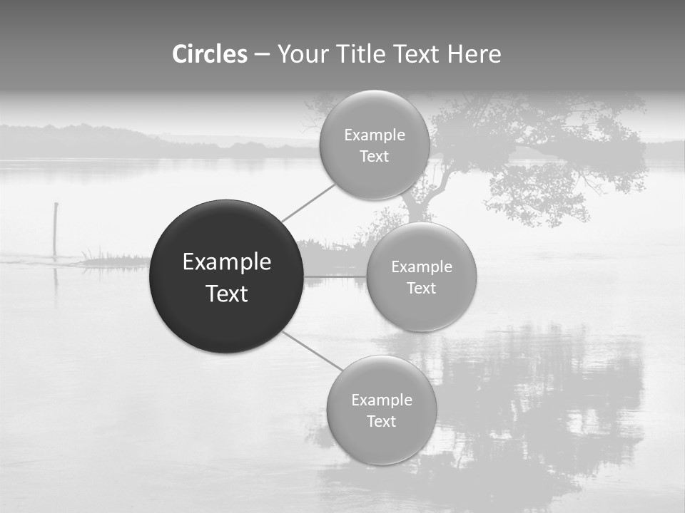 Goa Tree In River Tree In Lake PowerPoint Template