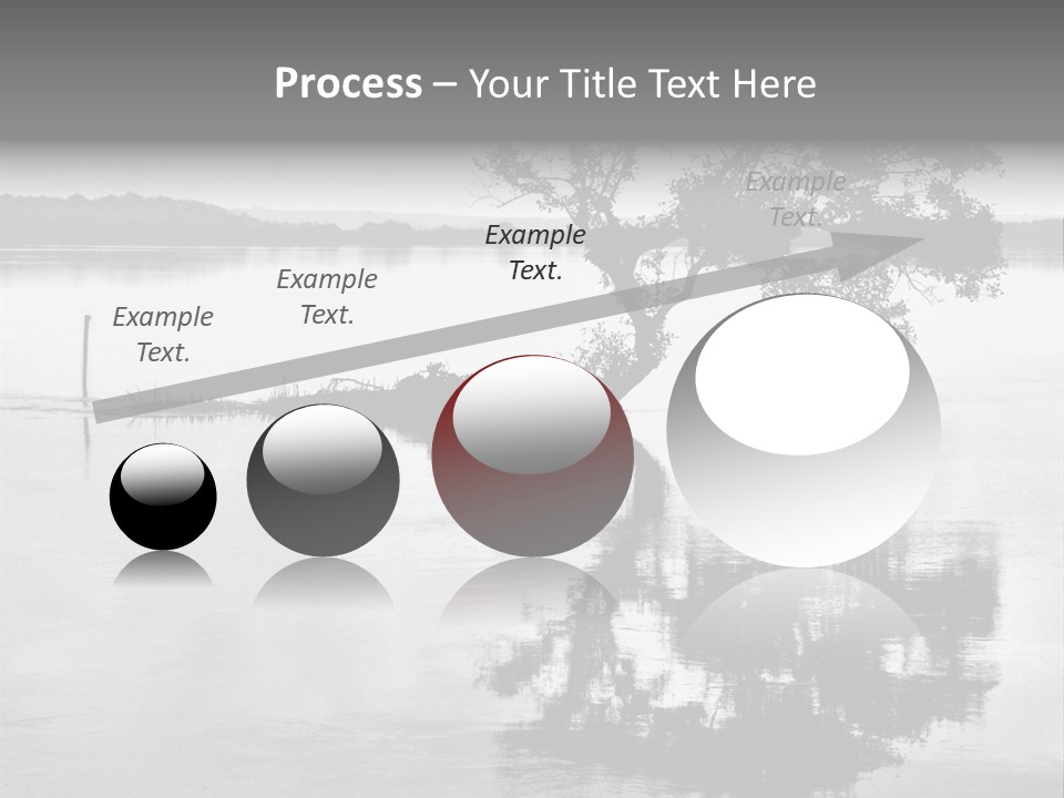 Goa Tree In River Tree In Lake PowerPoint Template