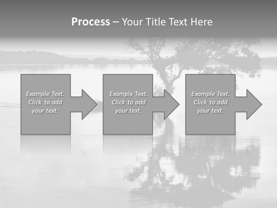 Goa Tree In River Tree In Lake PowerPoint Template