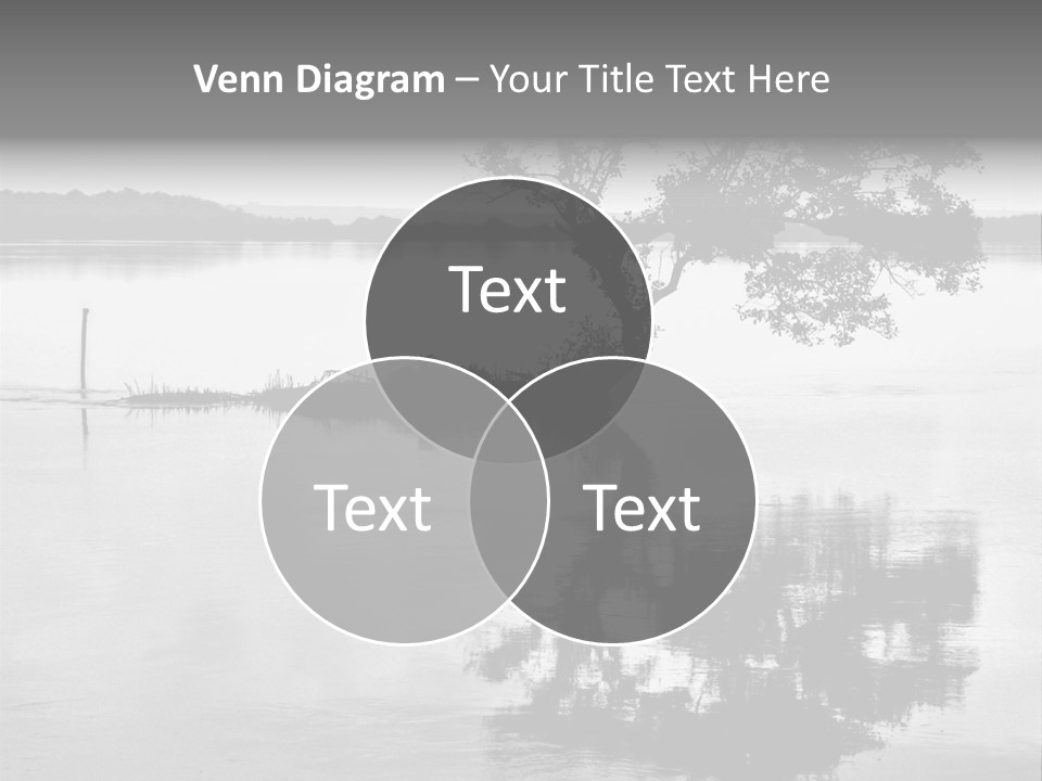 Goa Tree In River Tree In Lake PowerPoint Template