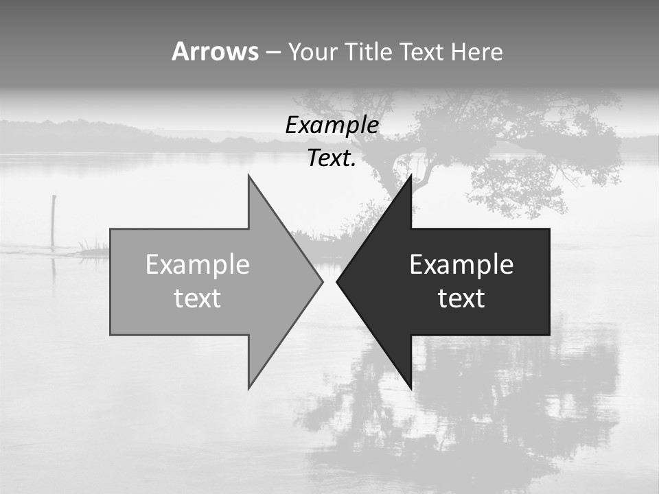 Goa Tree In River Tree In Lake PowerPoint Template