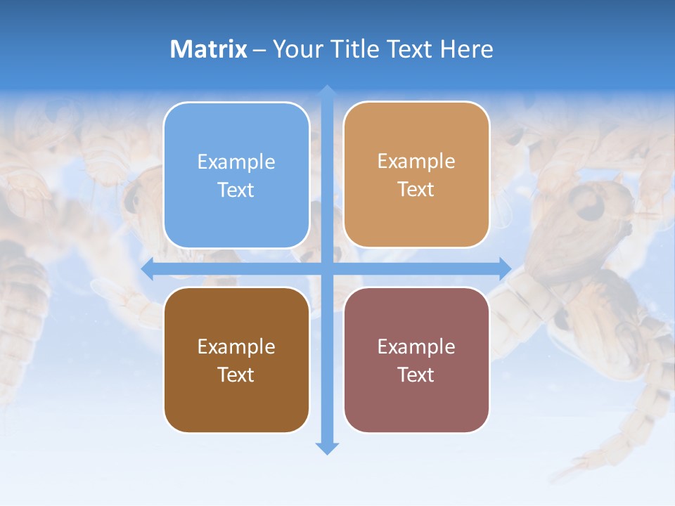 Sucking Insect Fauna PowerPoint Template