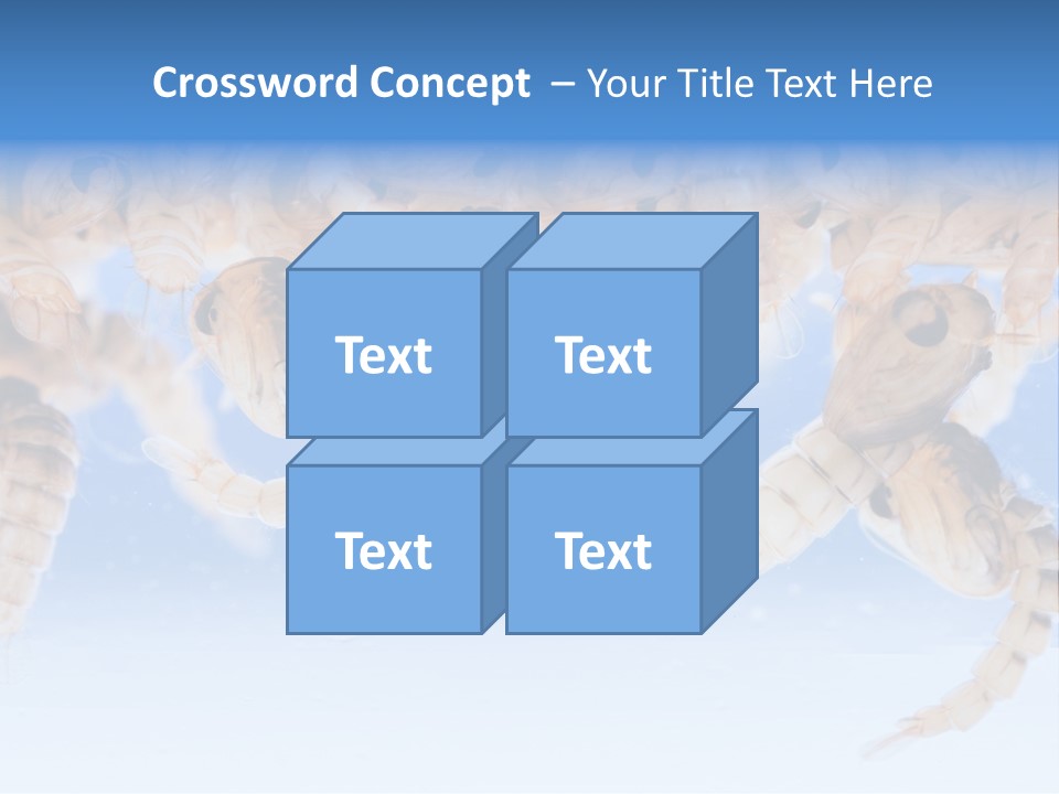 Sucking Insect Fauna PowerPoint Template