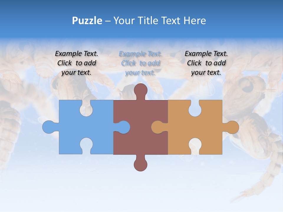 Sucking Insect Fauna PowerPoint Template