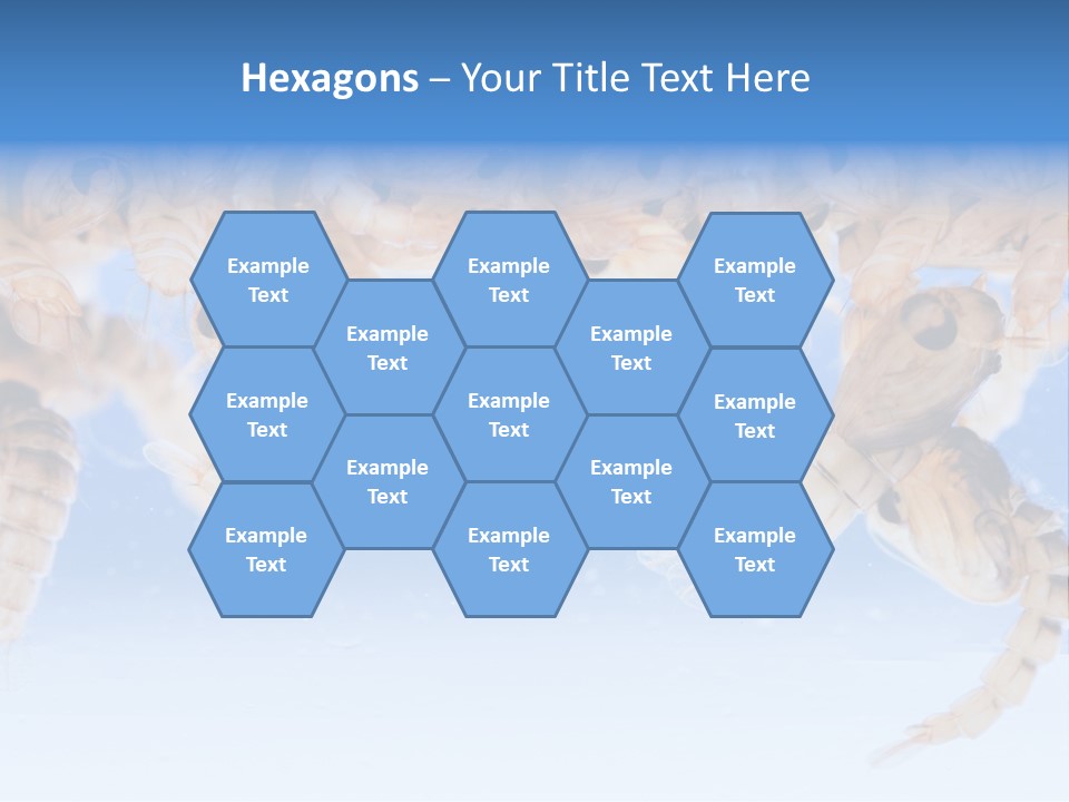 Sucking Insect Fauna PowerPoint Template