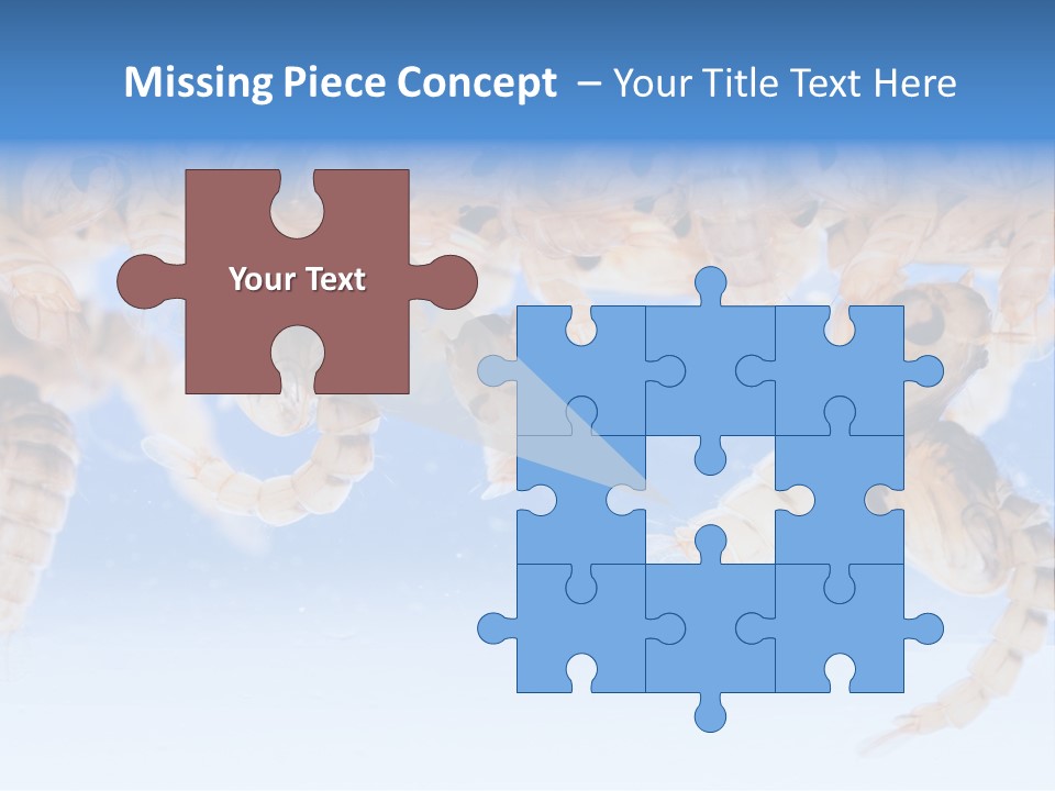 Sucking Insect Fauna PowerPoint Template