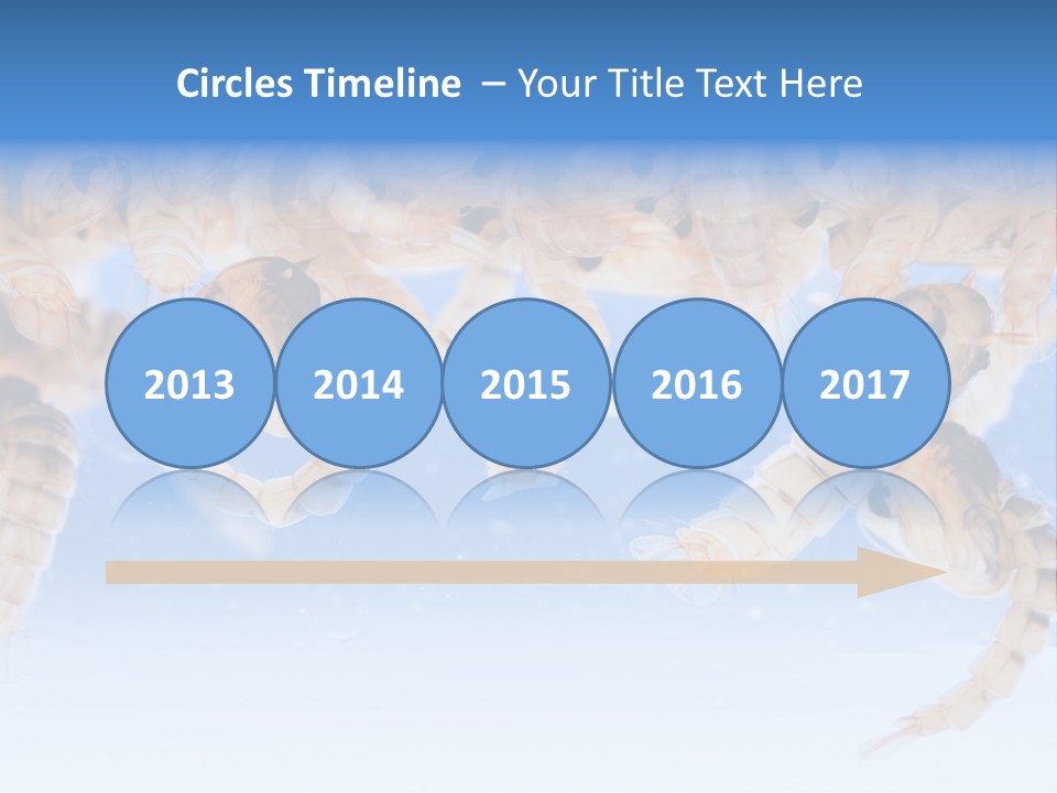 Sucking Insect Fauna PowerPoint Template