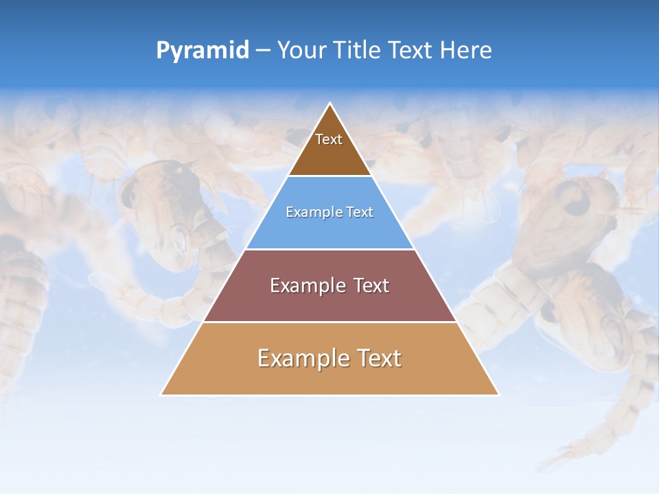 Sucking Insect Fauna PowerPoint Template