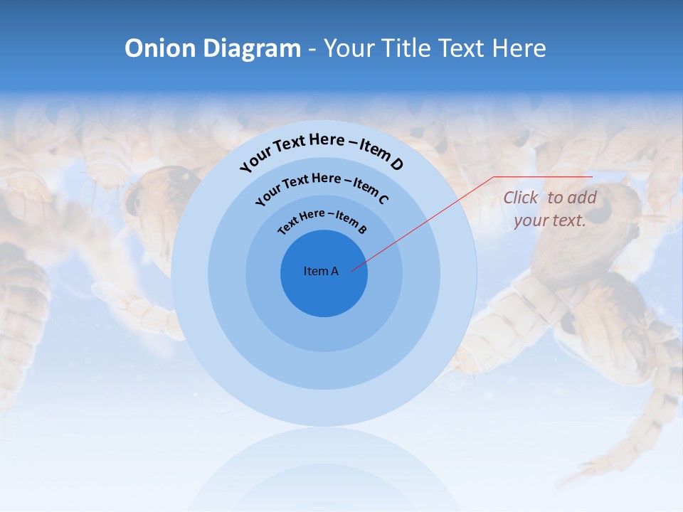 Sucking Insect Fauna PowerPoint Template