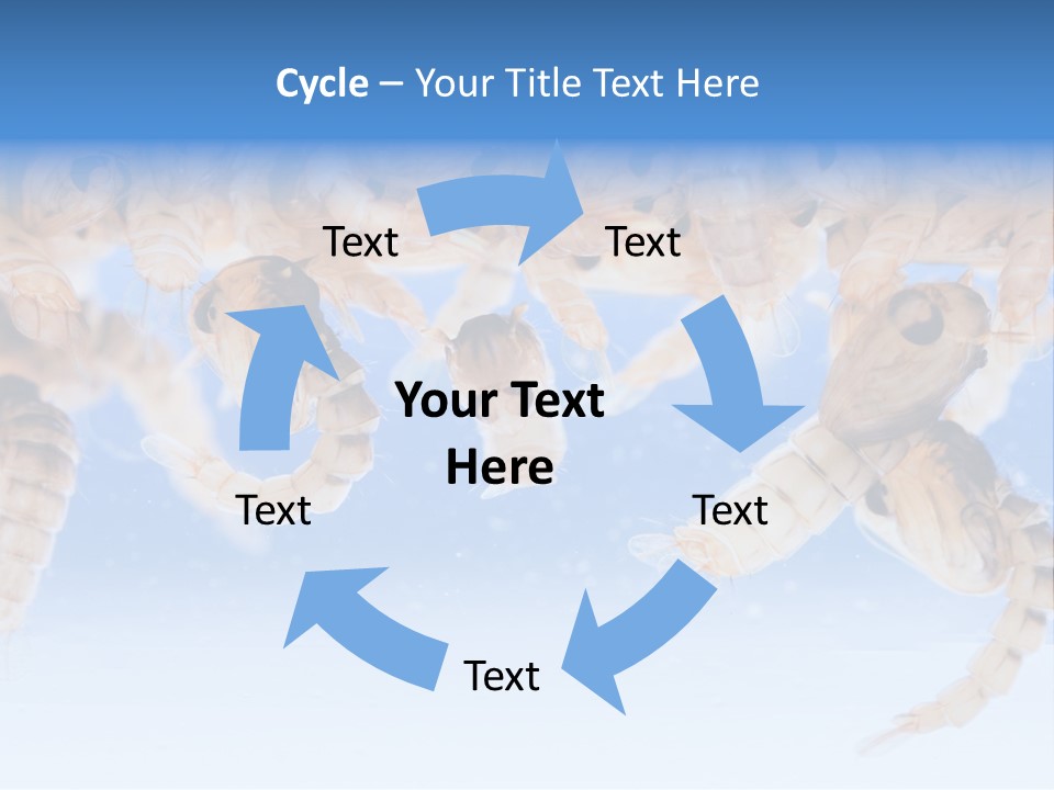 Sucking Insect Fauna PowerPoint Template