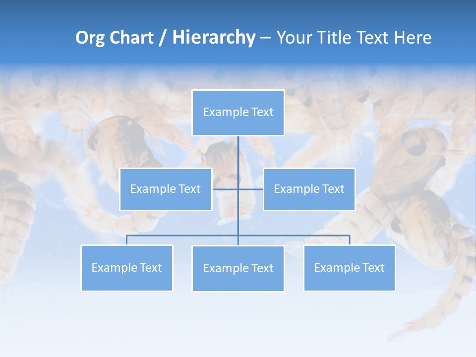 Sucking Insect Fauna PowerPoint Template